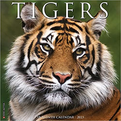 Tigers 2023 Wall Calendar ダウンロード