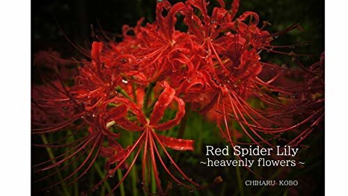 ダウンロード  Red Spider Lily (English Edition) 本