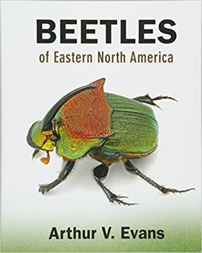 ダウンロード  Beetles of Eastern North America 本