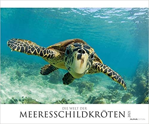 indir Die Welt der Meeresschildkröten 2021 - Bild-Kalender XXL 60x50 cm - Sea Turtles - Tier-Kalender - Natur - Wand-Kalender - Alpha Edition