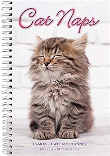 ダウンロード  Cat Naps 2020 Weekly Planner 本