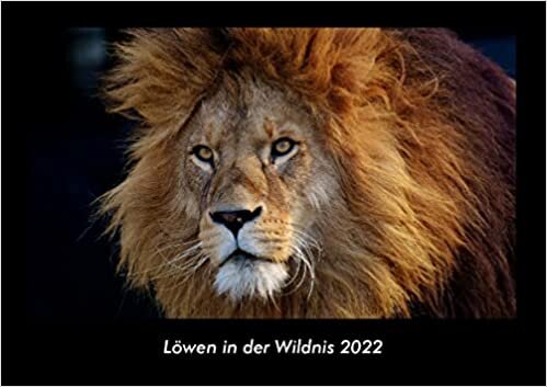 ダウンロード  Loewen in der Wildnis 2022 Fotokalender DIN A3: Monatskalender mit Bild-Motiven von Haustieren, Bauernhof, wilden Tieren und Raubtieren 本