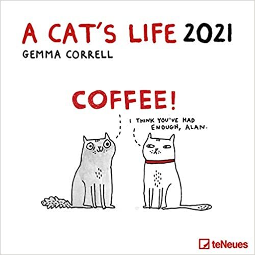 A Cat's Life 2021 - Wand-Kalender - Broschüren-Kalender - 30x30 - 30x60 geöffnet - Katzen indir
