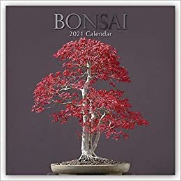 indir Bonsai 2021 - 16-Monatskalender: Original The Gifted Stationery Co. Ltd [Mehrsprachig] [Kalender] (Wall-Kalender)