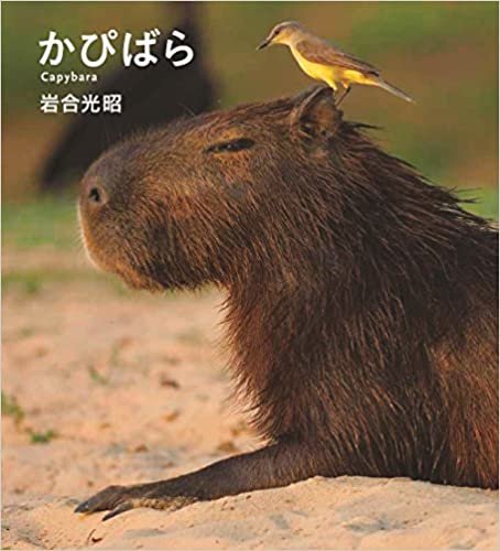 ダウンロード  かぴばら (IWAGO'S BOOK 5) 本