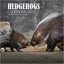 Hedgehogs Calendar 2020: 16 Month Calendar