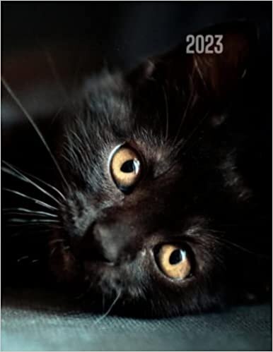 ダウンロード  Agenda 2023, día por página, A4: Para los amantes de los gatos - Grande diaria calendario - español - tamaño A4 -12 meses , Planificador diario y mensual, 400 páginas 本