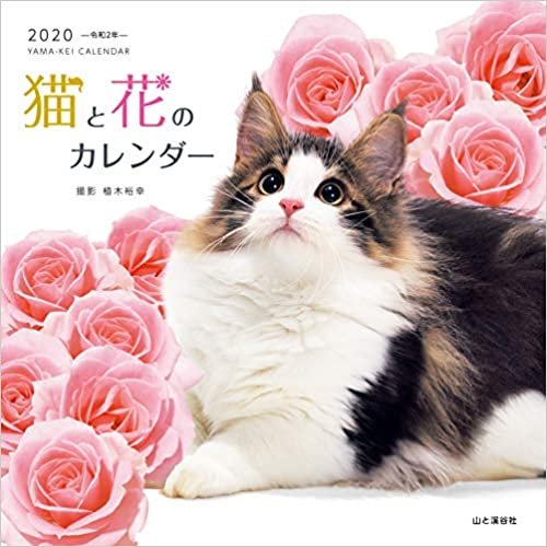 ダウンロード  カレンダー2020 猫と花のカレンダー (ヤマケイカレンダー2020) 本