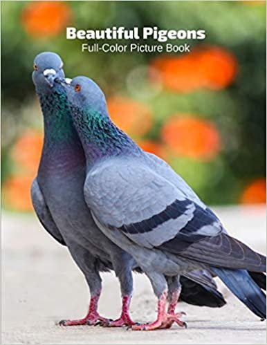 تحميل Beautiful Pigeons Full-Color Picture Book: Pigeons Picture Book for Children, Seniors and Alzheimer&#39;s Patients -Birds Nature Dove