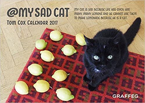 ダウンロード  @mysadcat 2017 Calendar 本
