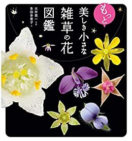 ダウンロード  もっと美しき小さな雑草の花図鑑 本