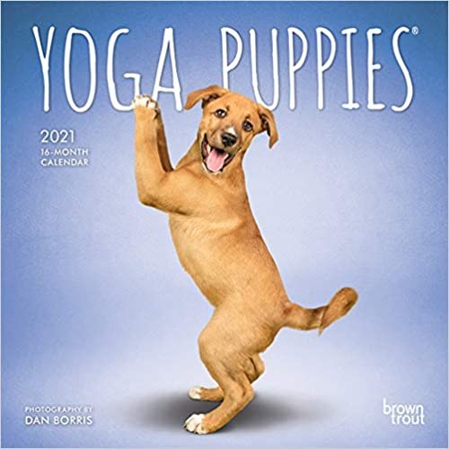 ダウンロード  Yoga Puppies 2021 Calendar 本