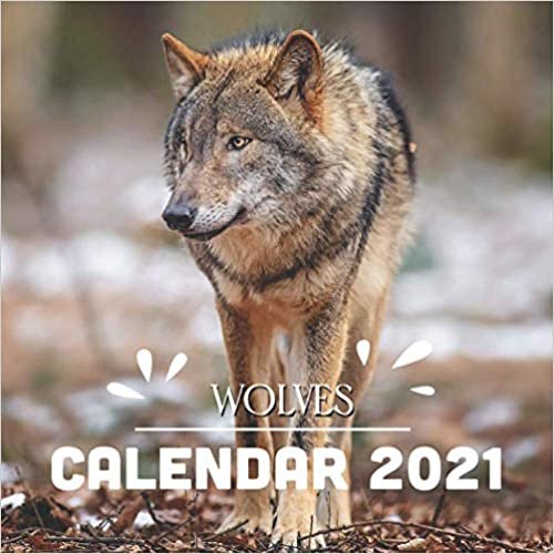 Wolves: 2021 Wall Calendar - 8.5"x8.5", 12 Months - Brave and Lonely Animal