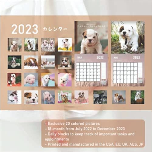 ダウンロード  アメリカン・ブルドッグの子犬 カレンダー: 素晴らしいギフト18か月のカレンダー2023年の美しい写真 本