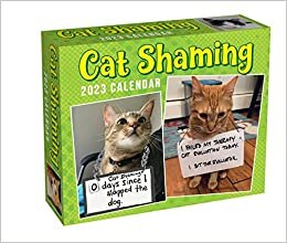 Cat Shaming 2023 Day-to-Day Calendar ダウンロード