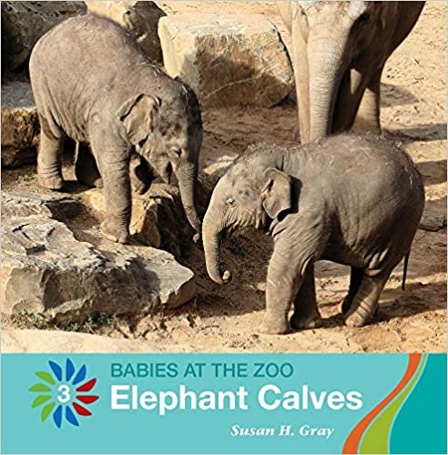تحميل Elephant Calves