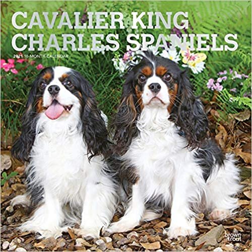 ダウンロード  Cavalier King Charles Spaniels 2021 Calendar 本