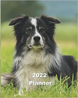 2022 Planner: Border Collie Dog -12 Month Planner January 2022 to December 2022 Monthly Calendar with U.S./UK/ Canadian/Christian/Jewish/Muslim ... in Review/Notes 8 x 10 in.- Dog Breed Pets indir