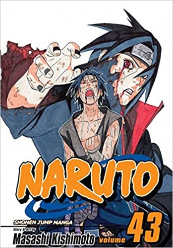 Naruto, Vol. 43 (43)