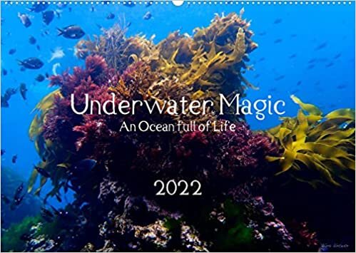 Underwater Magic (Wandkalender 2022 DIN A2 quer): Lass dich verzaubern von der Magie der faszinierenden Unterwasserwelt! (Monatskalender, 14 Seiten ) ダウンロード