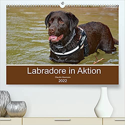 Labradore in Aktion (Premium, hochwertiger DIN A2 Wandkalender 2022, Kunstdruck in Hochglanz): Glueckliche Labrador Retriever beim Spiel beobachtet (Monatskalender, 14 Seiten )