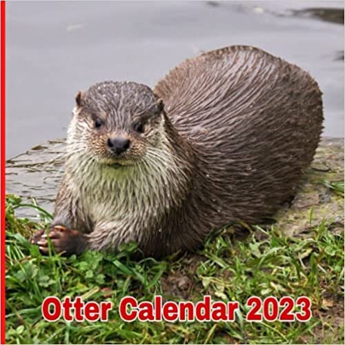 Otter calendar 2023: Gift for animals lovers