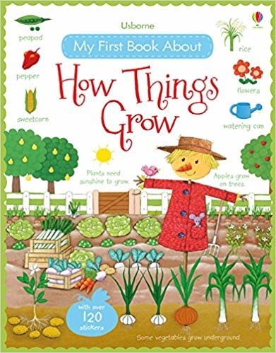 USB - My First Book About How Things Grow Sticker Book indir