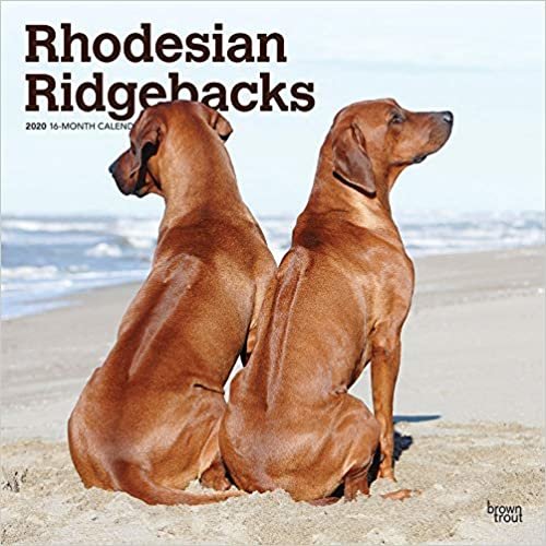 Rhodesian Ridgebacks 2020 Calendar