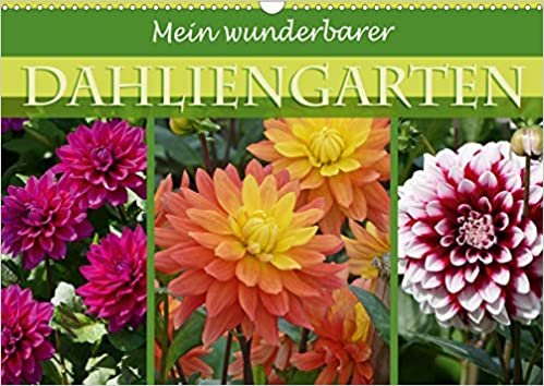 indir Mein wunderbarer Dahliengarten (Wandkalender 2021 DIN A3 quer): Mit den schönsten Gartendahlien durch das ganze Jahr (Monatskalender, 14 Seiten )