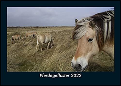 Pferdegefluester 2022 Fotokalender DIN A5: Monatskalender mit Bild-Motiven von Haustieren, Bauernhof, wilden Tieren und Raubtieren ダウンロード
