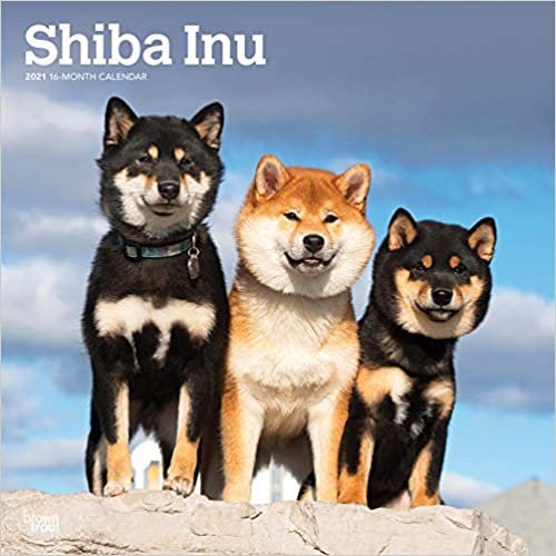 Shiba Inu 2021 - 16-Monatskalender mit freier DogDays-App: Original BrownTrout-Kalender [Mehrsprachig] [Kalender] (Wall-Kalender) indir