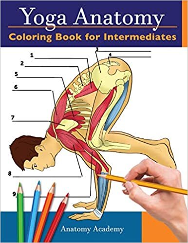 Yoga Anatomy Coloring Book for Intermediates: 50+ Incredibly Detailed Self-Test Intermediate Yoga Poses Color workbook | Perfect Gift for Yoga Instructors, Teachers & Enthusiasts