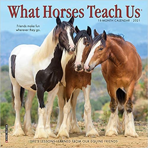 What Horses Teach Us 2021 Calendar indir