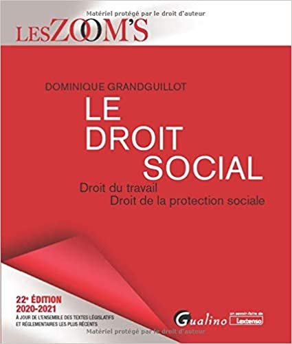 indir Le droit social: Droit du travail - Droit de la protection sociale (2020-2021) (Les Zoom&#39;s)