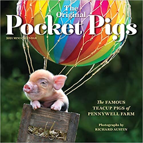 The Original Pocket Pigs 2021 Calendar