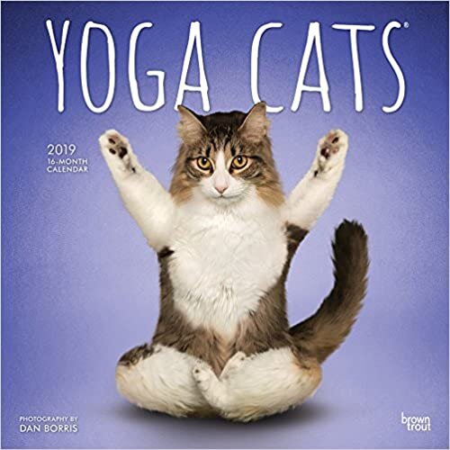 ダウンロード  Yoga Cats 2019 Calendar 本