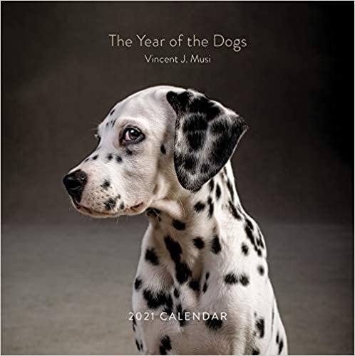 The Year of the Dogs 2021 Wall Calendar: (Dog Portrait 12-Month Calendar, Dog Lovers Photography Monthly Calendar)
