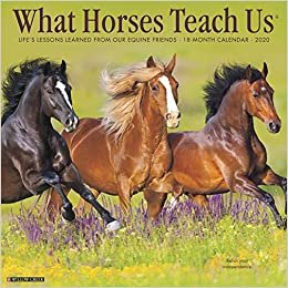What Horses Teach Us 2020 Calendar: Life's Lessons Learned from Our Equine Friends