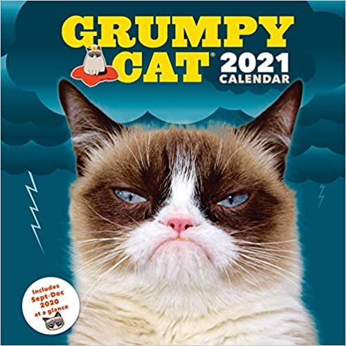 Grumpy Cat 2021 Wall Calendar: (Cranky Kitty Monthly Calendar, Funny Internet Meme 12-Month Calendar)