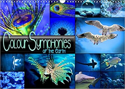 Colour Symphonies of the Earth (Wall Calendar 2023 DIN A3 Landscape): Atmospheric collages in fascinating colour combinations (Monthly calendar, 14 pages )