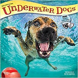 Underwater Dogs 2019 Calendar