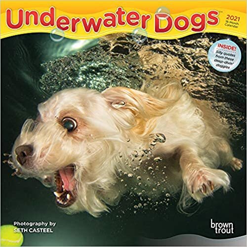 ダウンロード  Underwater Dogs 2021 Calendar 本