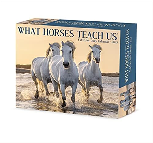 ダウンロード  What Horses Teach Us 2023 Box Calendar 本