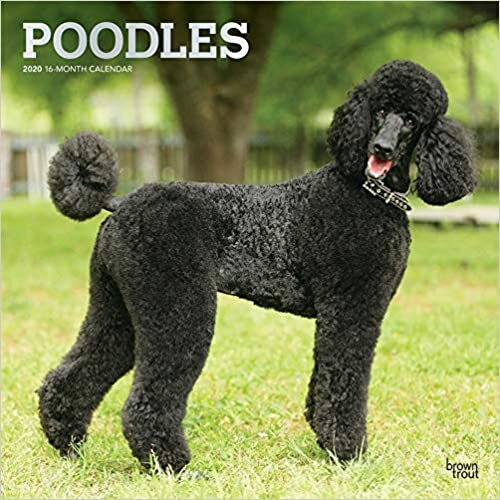 ダウンロード  Poodles 2020 Calendar: Foil Stamped Cover 本