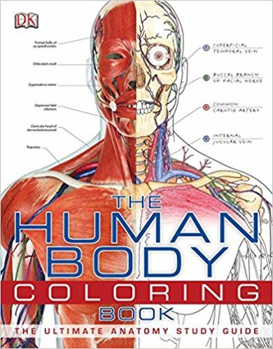 اقرأ عن الجسم البشري كتاب تلوين الكتاب الاليكتروني 
