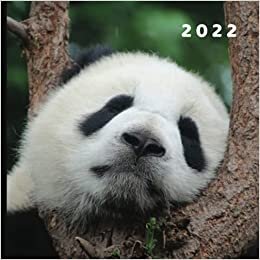 2022: January 2022 - December 2022 | 12 Month Calendar | Monthly Photo Calendar | Monthly Calendar with U.S./UK/ Canadian/Christian/Jewish/Muslim Holidays | Adorable Panda Photo Book indir