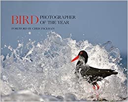 Bird Photographer of the Year: Collection 5