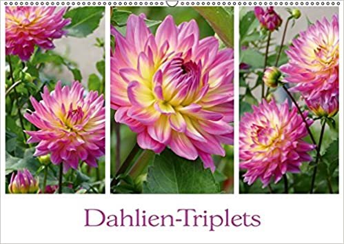 indir Dahlien-Triplets (Wandkalender 2019 DIN A2 quer): Auf jeder Kalenderseite: Dahlien im Dreierpack (Monatskalender, 14 Seiten )