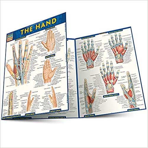 The Hand (Quick Study Academic)
