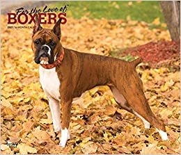 Boxers – For the love of Boxer 2021 - 16-Monatskalender mit freier DogDays-App: Original BrownTrout-Kalender - Deluxe [Mehrsprachig] [Kalender] (Deluxe-Kalender)